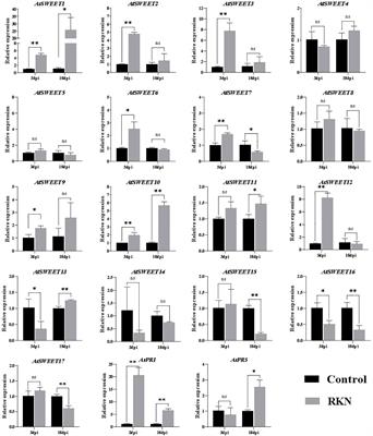 AtSWEET1 negatively regulates plant susceptibility to root-knot nematode disease